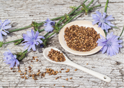 MORE THAN JUST A PRETTY FACE! - CHICORY