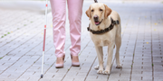 Happy International Guide Dog Day, From All of Us at Basil's!