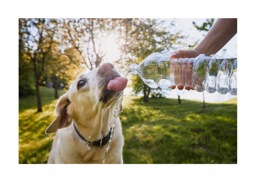 💦 HYDRATION IS KEY 💦