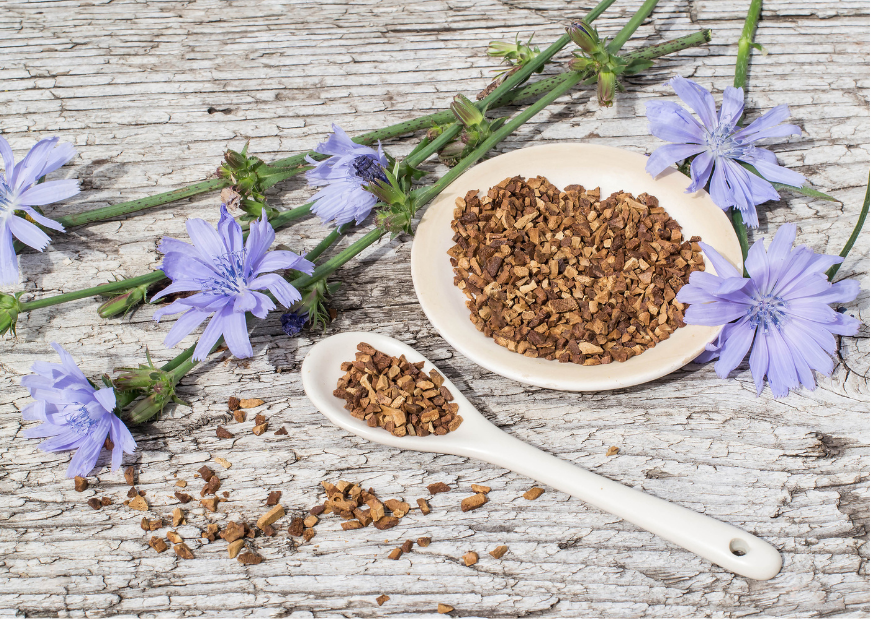 MORE THAN JUST A PRETTY FACE! - CHICORY