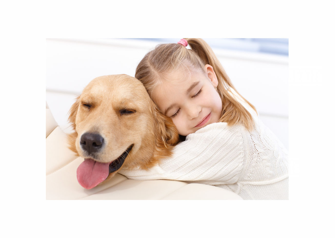 CELEBRATING OUR FOUR-LEGGED FRIENDS - International Pet Day
