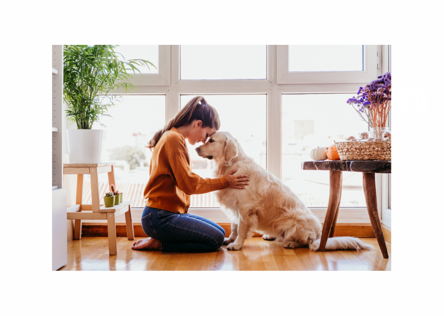 AND THEY CALL IT PUPPY LOVE.....❤️