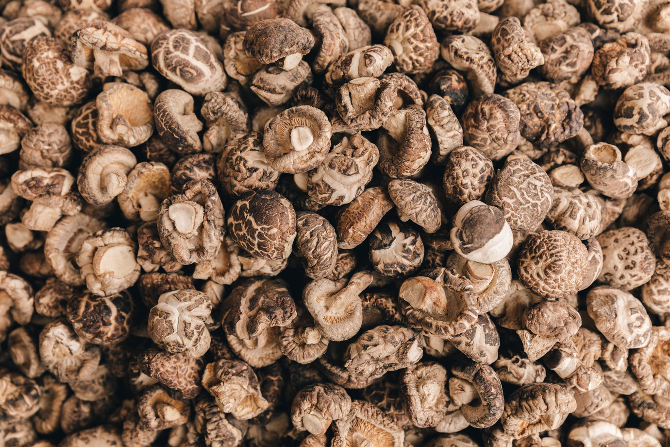 NOT MUSH-ROOM FOR DOUBT!  SHIITAKE MUSHROOM POWDER