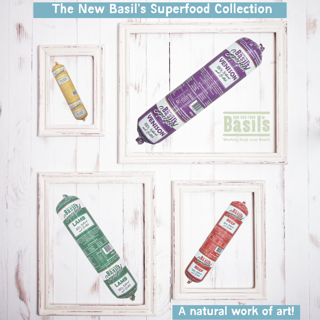 Taster Box – Superfood Range