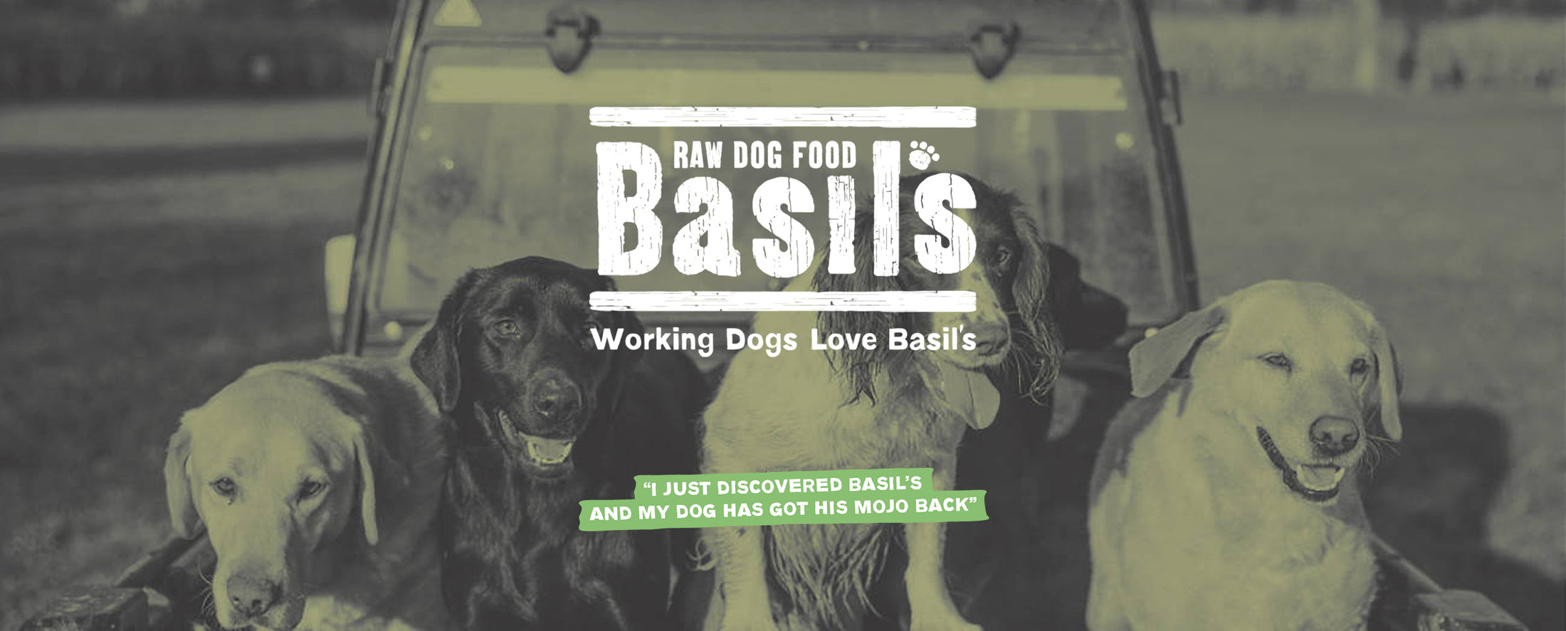 Basil's Raw Dog Food Working Dogs Love Basil's